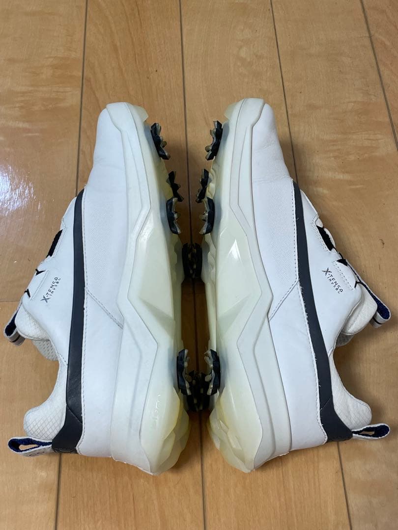 極美品 ECCO GOLF BIOM G5 BOA GORE-TEX