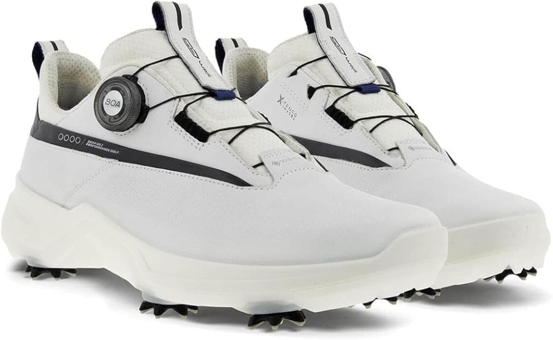極美品 ECCO GOLF BIOM G5 BOA GORE-TEX