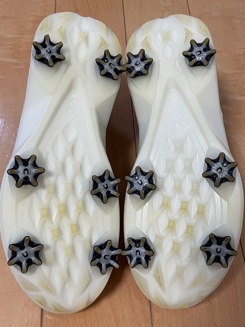 極美品 ECCO GOLF BIOM G5 BOA GORE-TEX