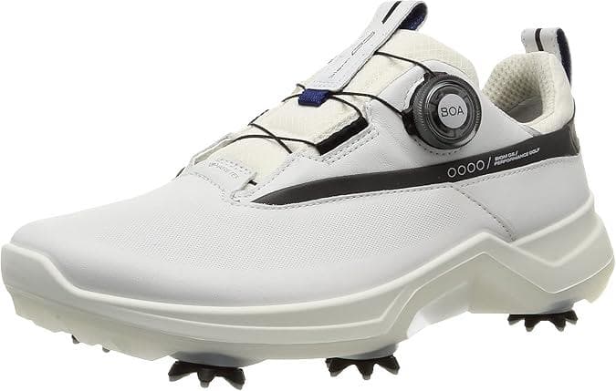極美品 ECCO GOLF BIOM G5 BOA GORE-TEX