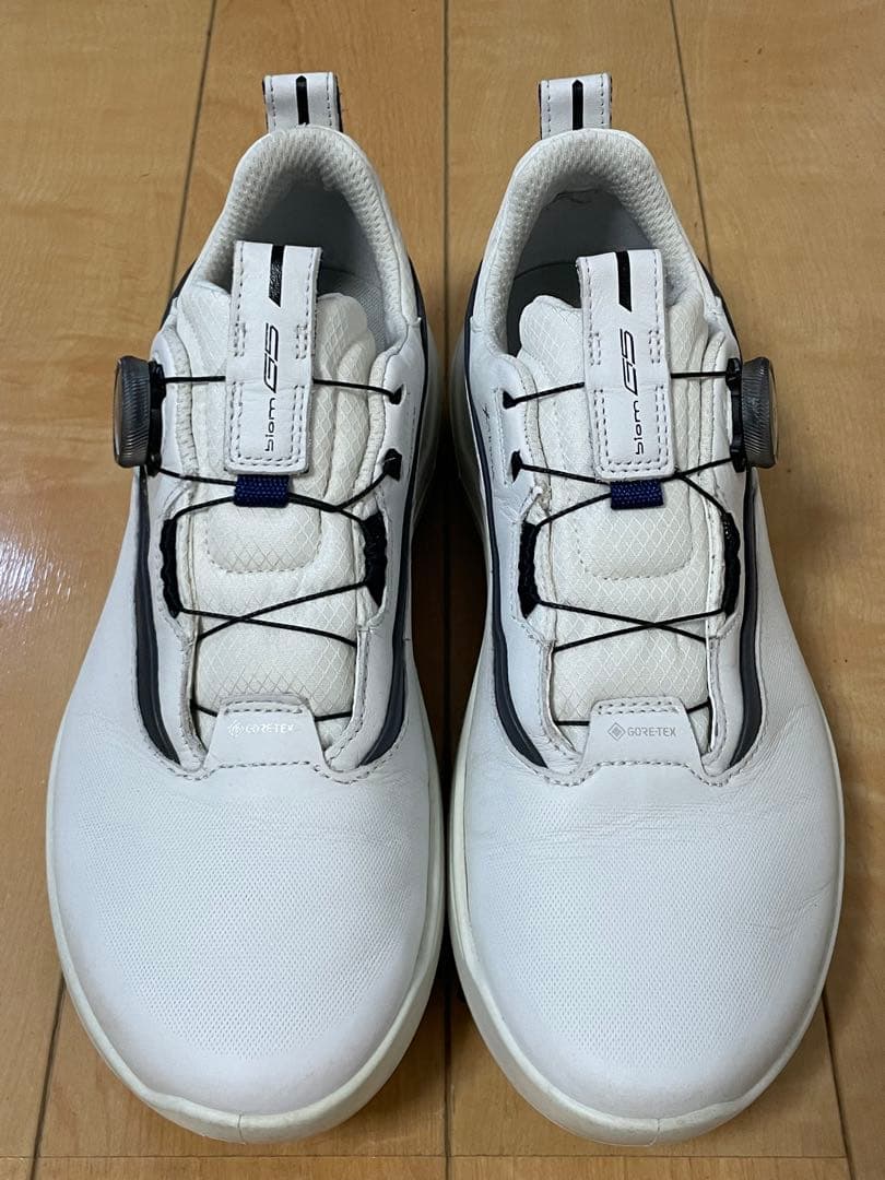 極美品 ECCO GOLF BIOM G5 BOA GORE-TEX