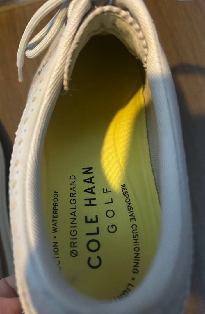 値下げ‼️ コールハーン メンズゴルフジュース 10M 27.5cm 美品