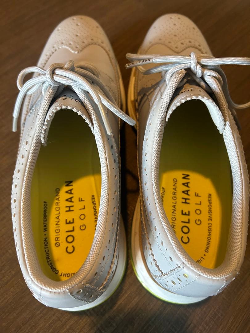 値下げ‼️ コールハーン メンズゴルフジュース 10M 27.5cm 美品