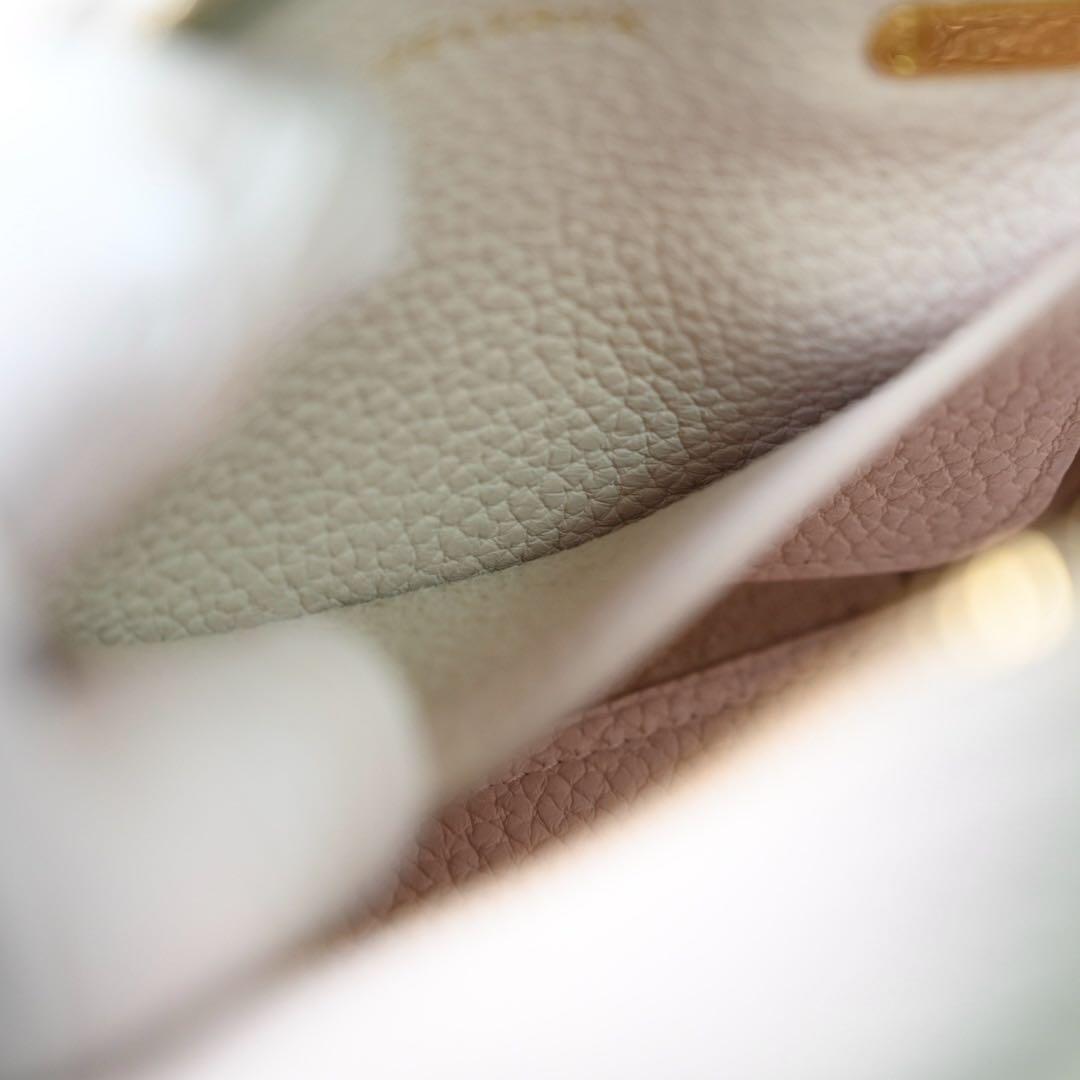 【極美品】デルヴォー　クールボックス　ナノ　ボストンバッグ　ショルダー　2WAY