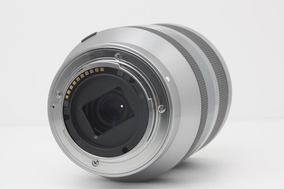 SONY E 18-200mm F3.5-6.3 OSS 完動品 #344d