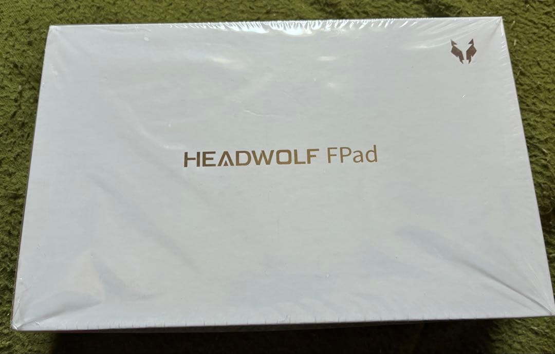 HEADWOLF FPad 7 アンチグレアフィルム貼付 ケース付き