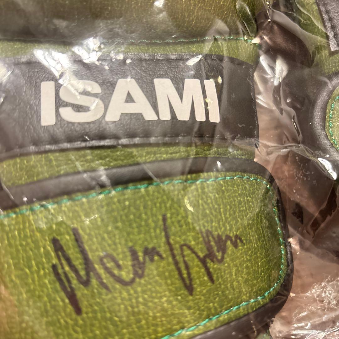 RIZIN サイン入り ボクシンググローブ S グリーン