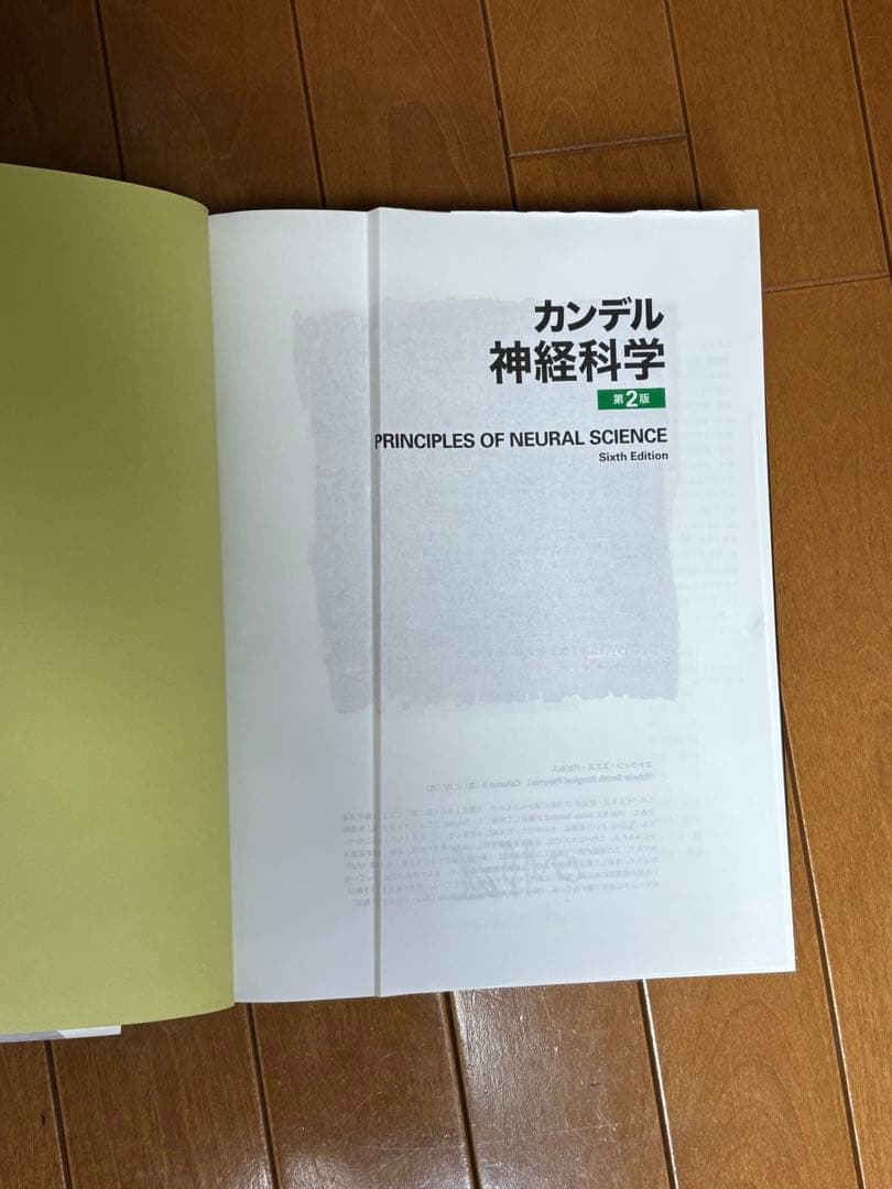カンデル神経科学 第2版 第6版