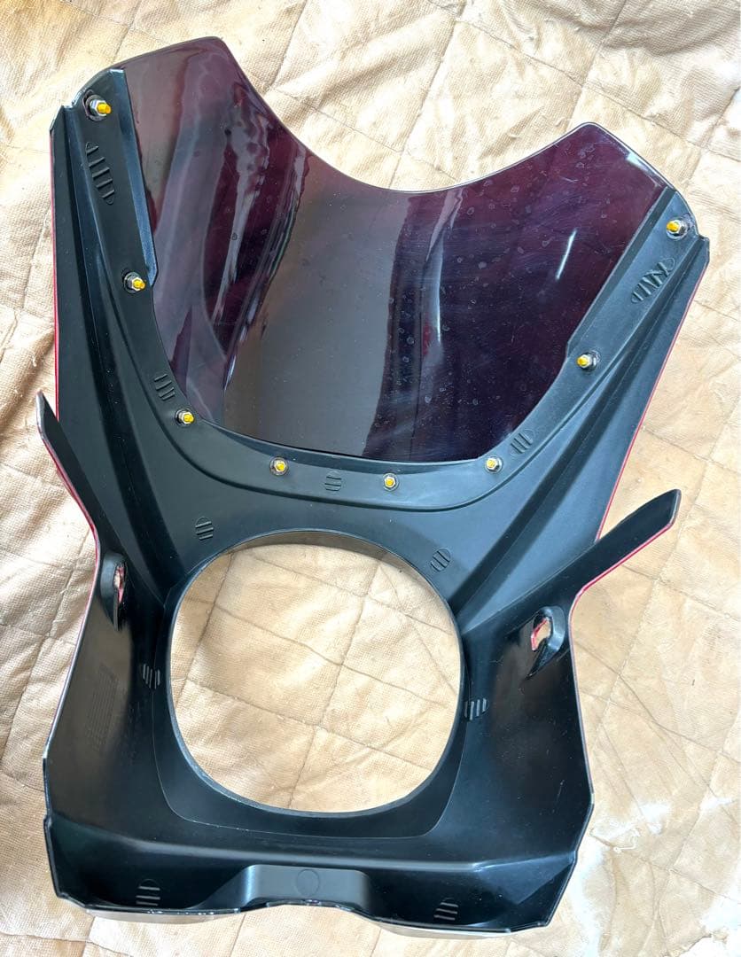 z900rs ビギニカウル