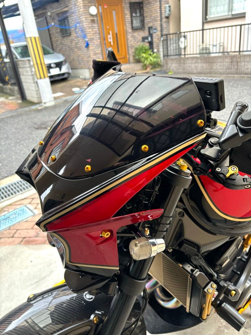 z900rs ビギニカウル