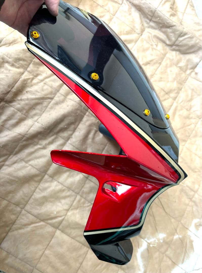 z900rs ビギニカウル