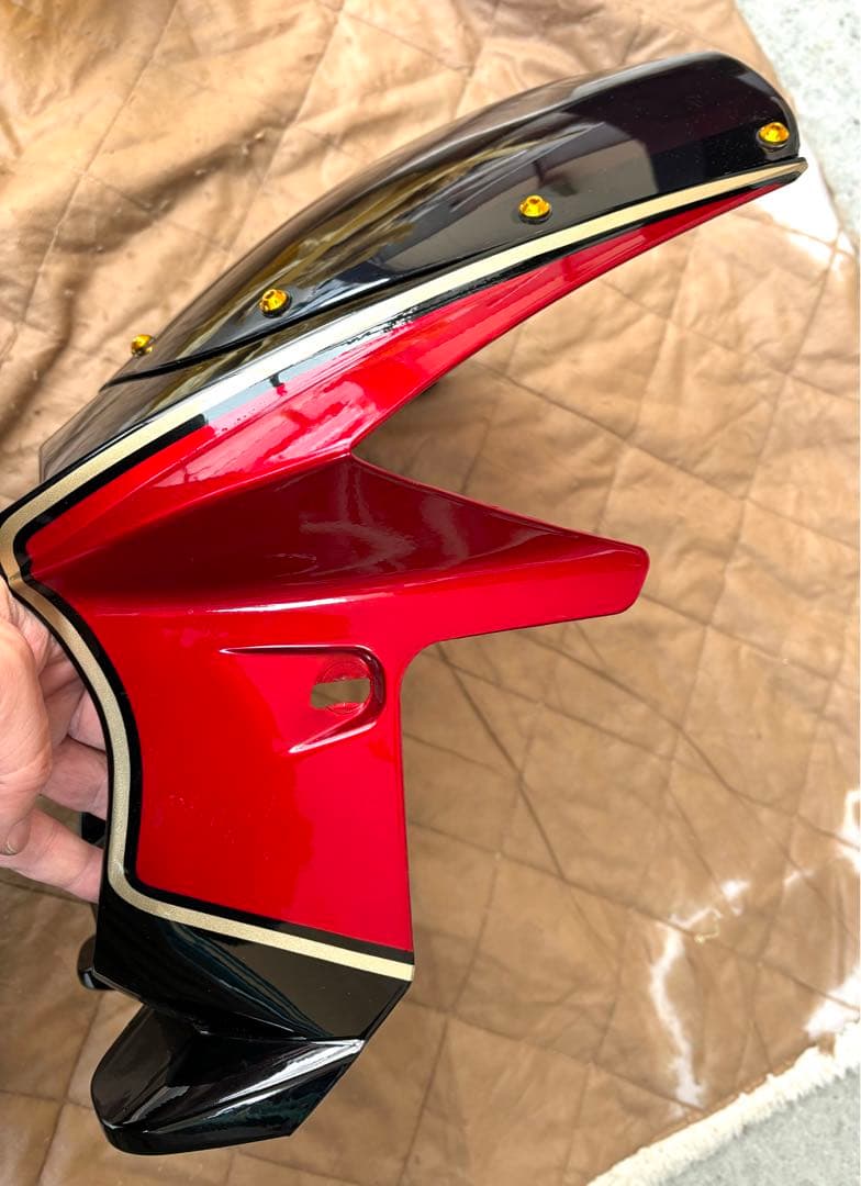 z900rs ビギニカウル