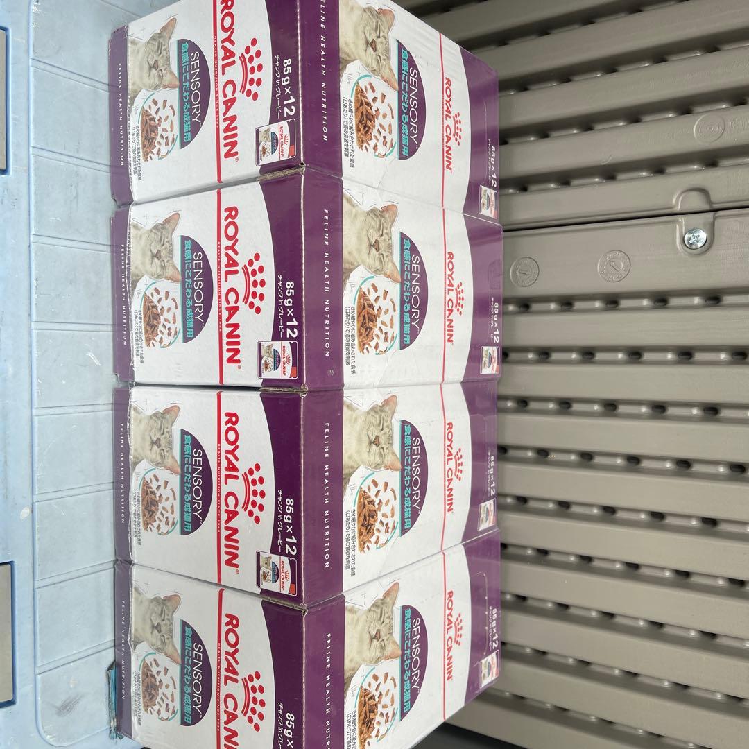 ロイヤルカナン 食感にこだわる成猫用 ウェット パウチ 85g×48個セット