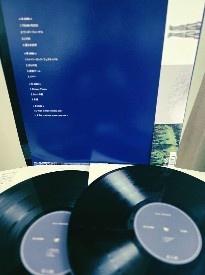 だ*ご様 極美品!帯付き!くるり　team rock オリジナル盤!アナログ!