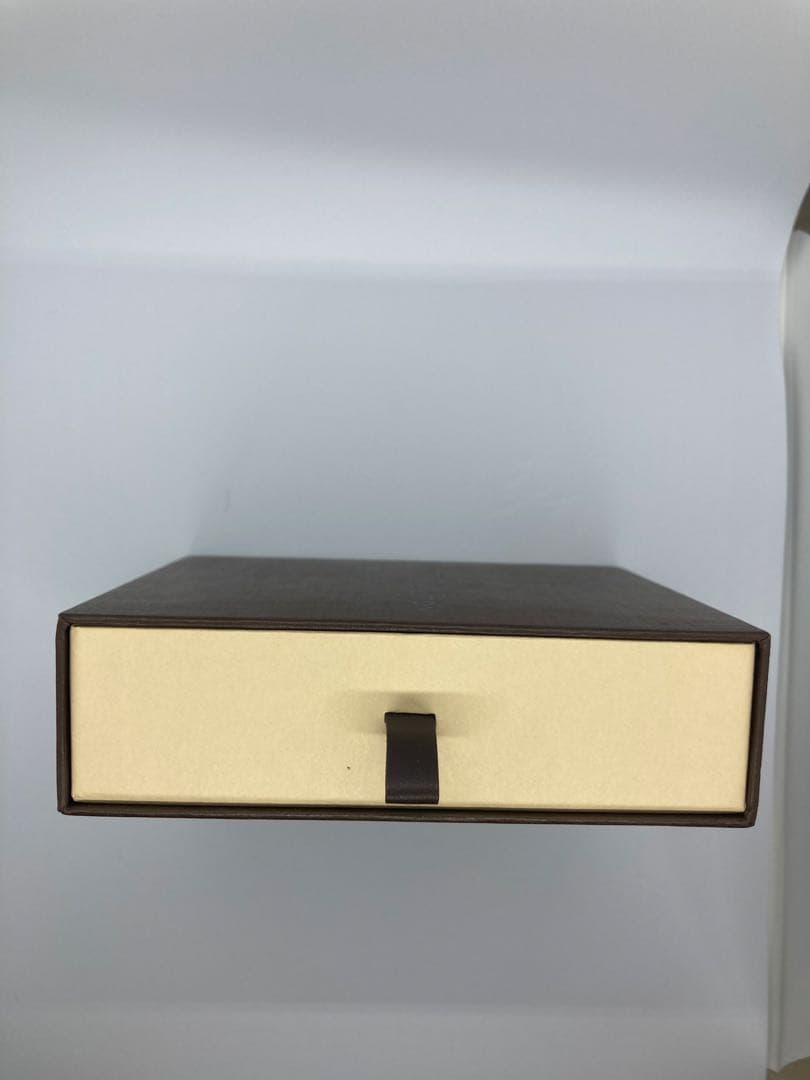 現行　未使用保管　ルイヴィトン　タイガ　アメリゴNM　二つ折り財布