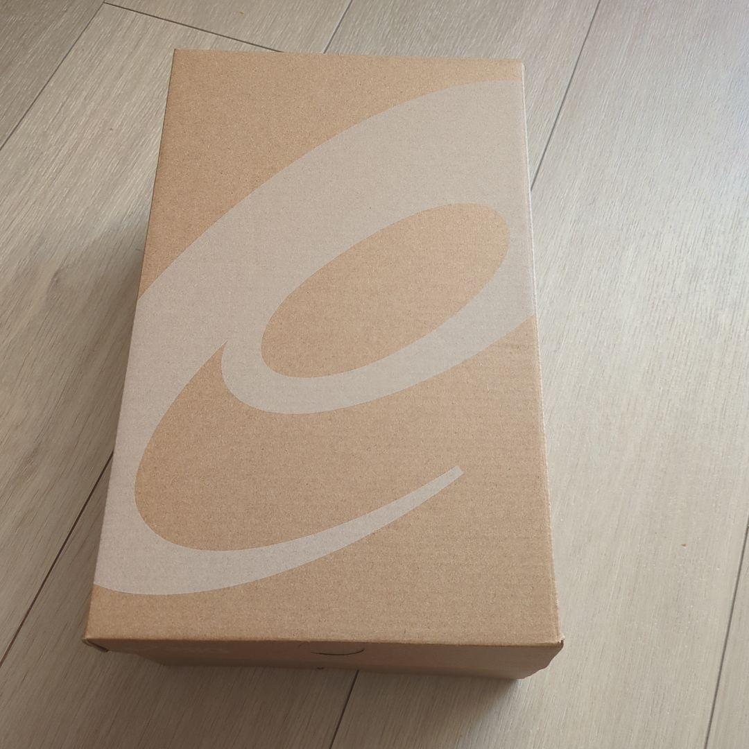 靴 asics GEL KAYANO 14