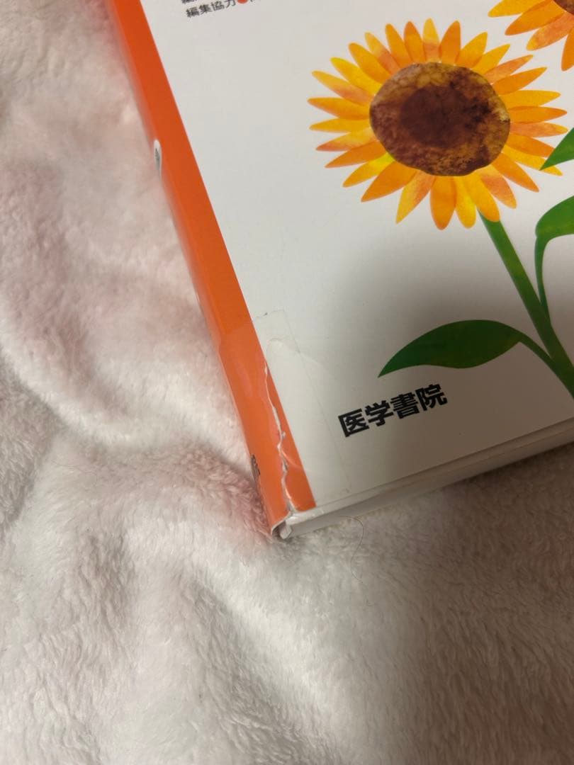 医学書院 看護過程 まとめ売り