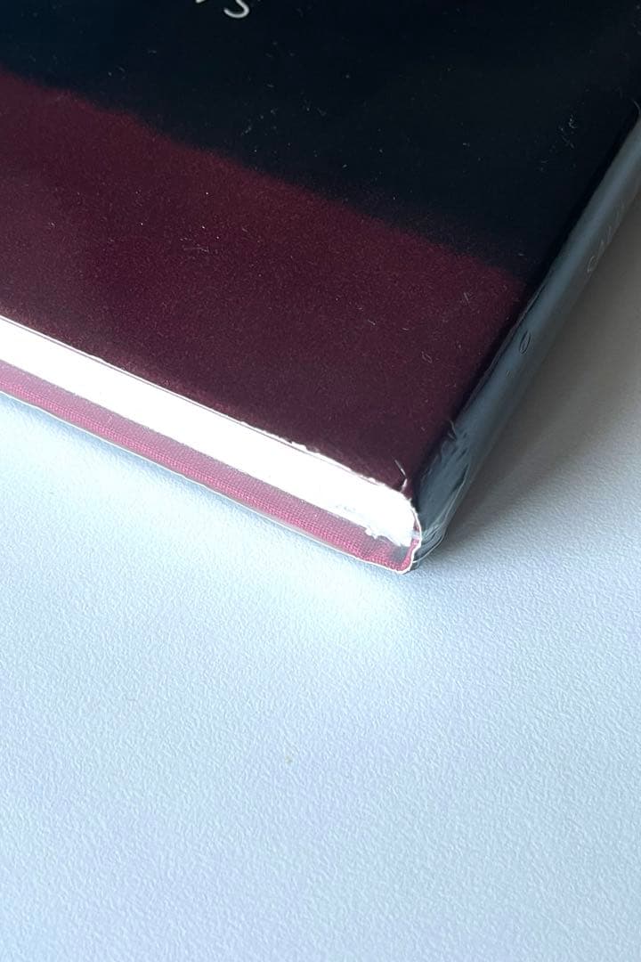 新品未開封 SAUL LEITER Early Color シュリンク付き 絶版