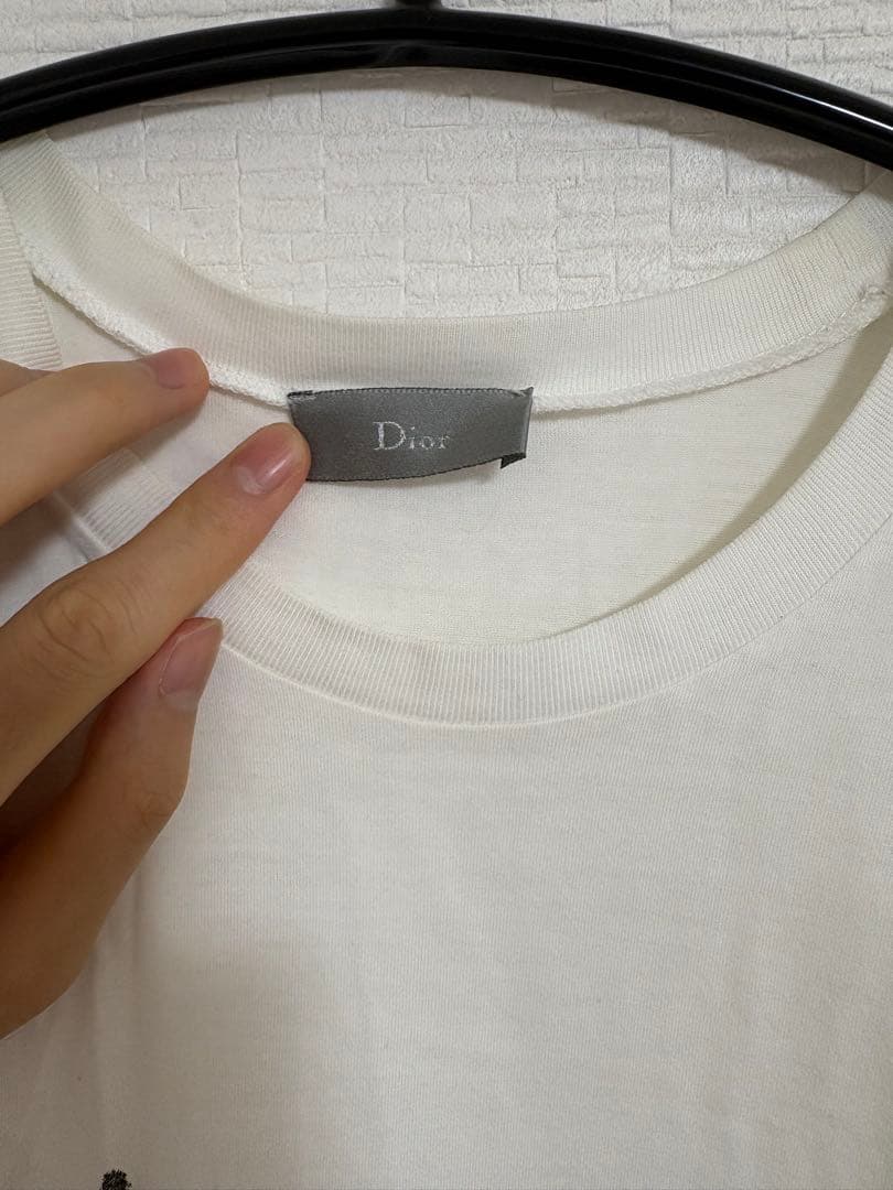 Dior tシャツ　エディ