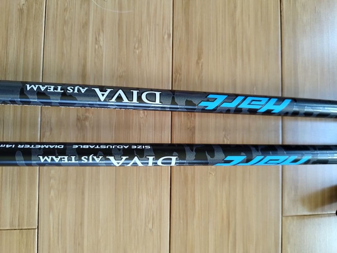 ELAN スキー板 130cm、ストック付