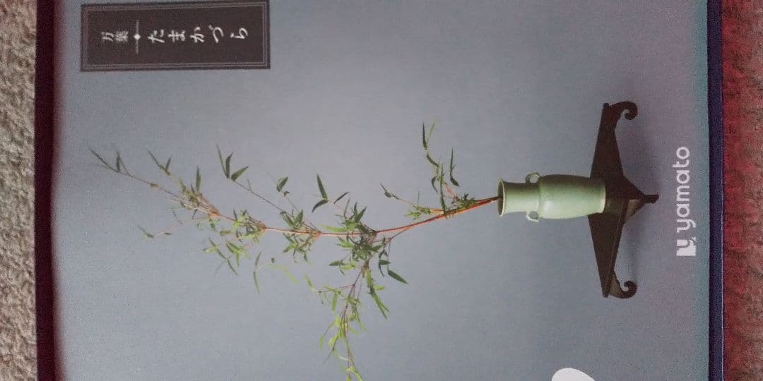 ギフトカタログ　万葉 ＜たまかづら＞