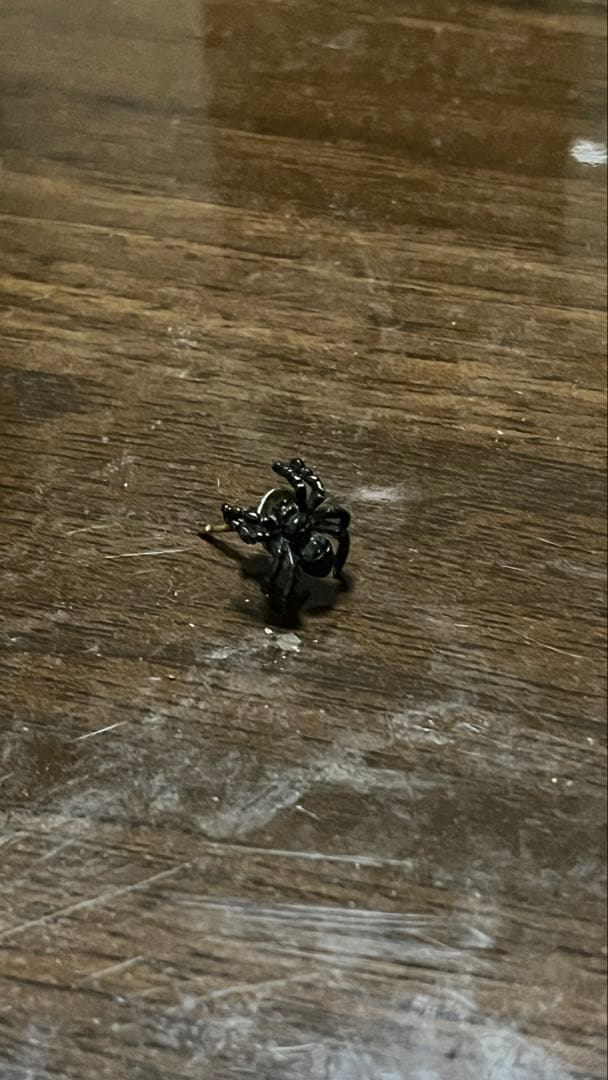 trygod トライゴット　永瀬正敏　クモ型ピアス　片耳用