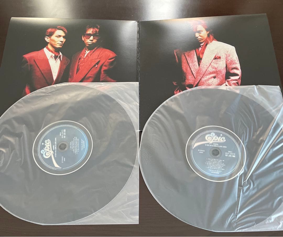 TMネットワーク CAROL CD DVD★ FINAL4001 / EARTH