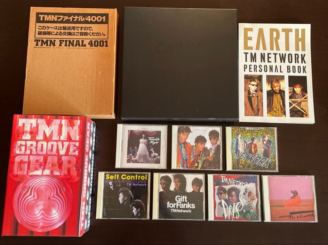 TMネットワーク CAROL CD DVD★ FINAL4001 / EARTH