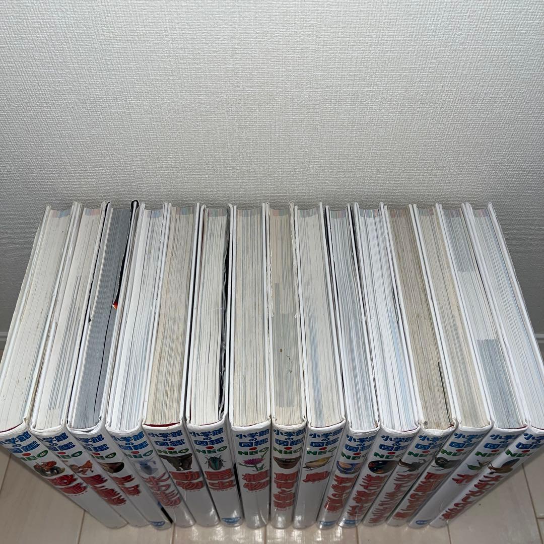 小学館図鑑NEO 15冊 セット 一部DVD付き