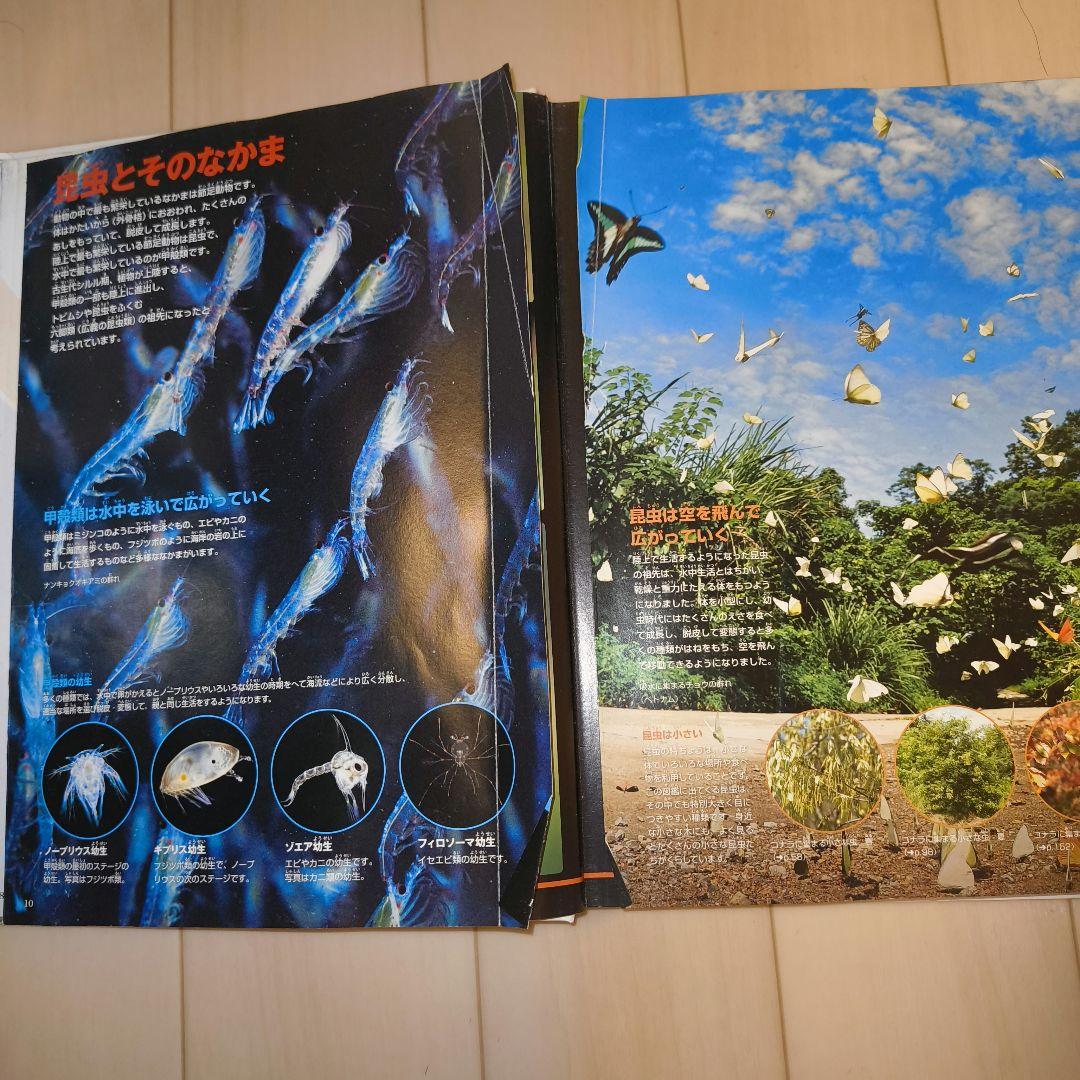 小学館図鑑NEO 15冊 セット 一部DVD付き