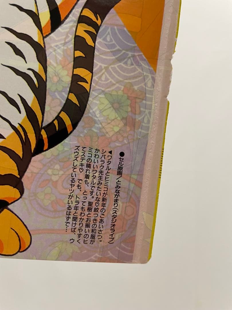 アニメディア　一石小百合　描き下ろし　年賀　イラスト　カスミ　切抜き　ポケモン