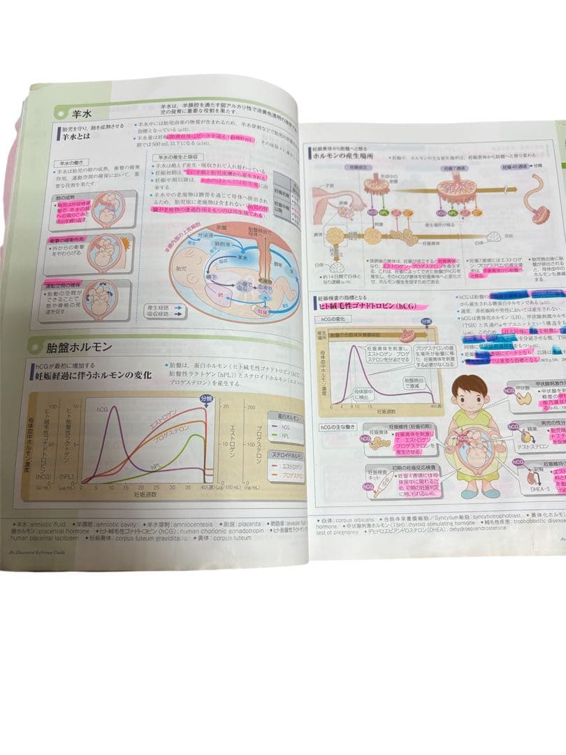 病気がみえる⭐️9冊セット⭐️送料込み