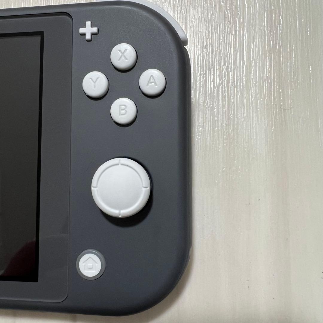 Nintendo Switch Lite グレー本体，充電器，箱付き