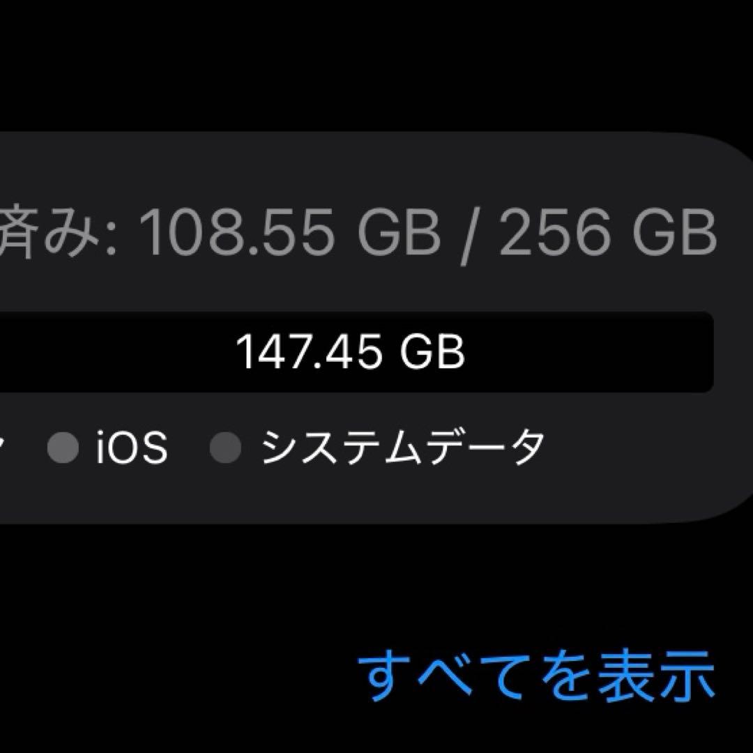 iPhone12mini 256GB ケース装着済み