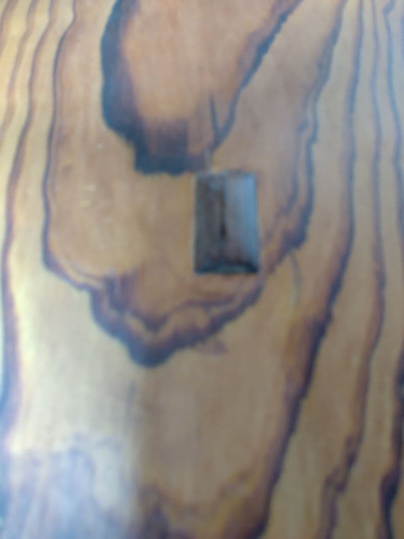 やまねこ　脂松