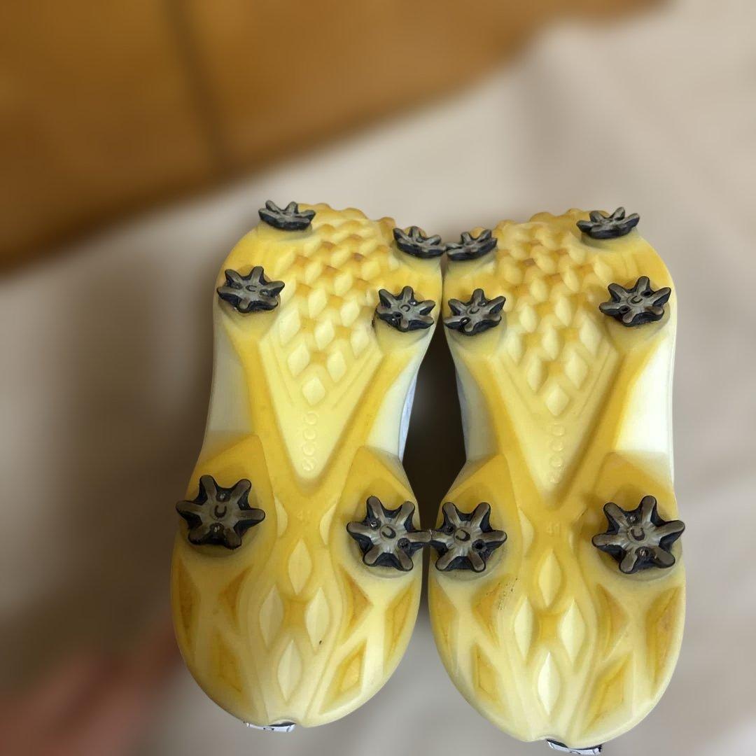 ＥＣＣＯ　レザーGore-Texゴルフシューズ