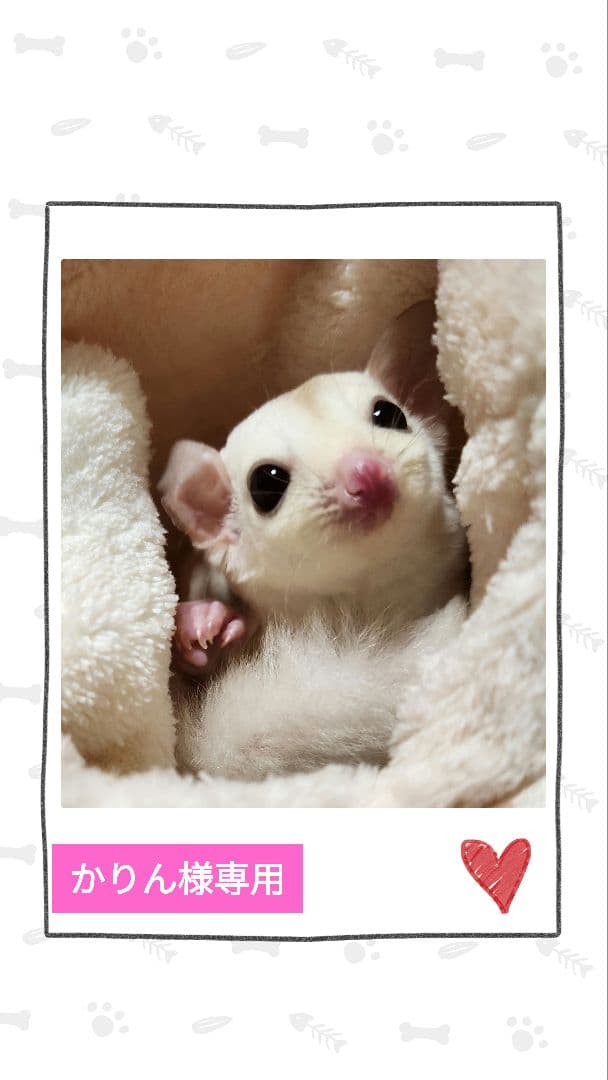 【かりん】モモンガポーチ