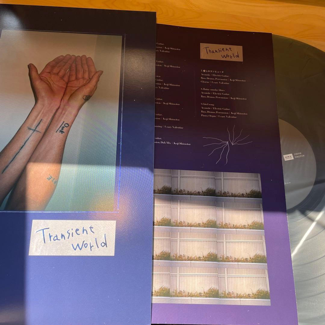 Transient world 下津光史 レコード　踊ってばかりの国 LP