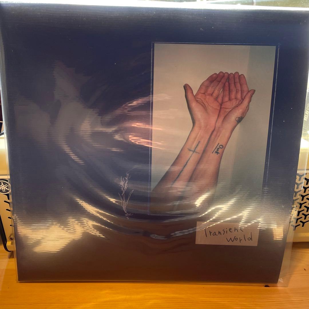 Transient world 下津光史 レコード　踊ってばかりの国 LP