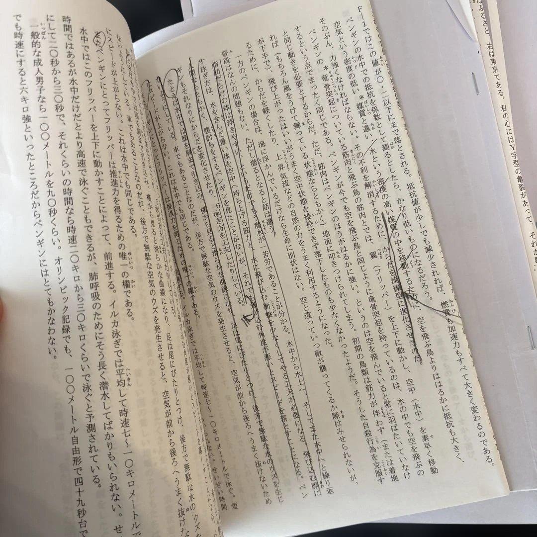 小4 浜学園　灘中合格特訓 算国9回目〜12回目2023年〜2024年