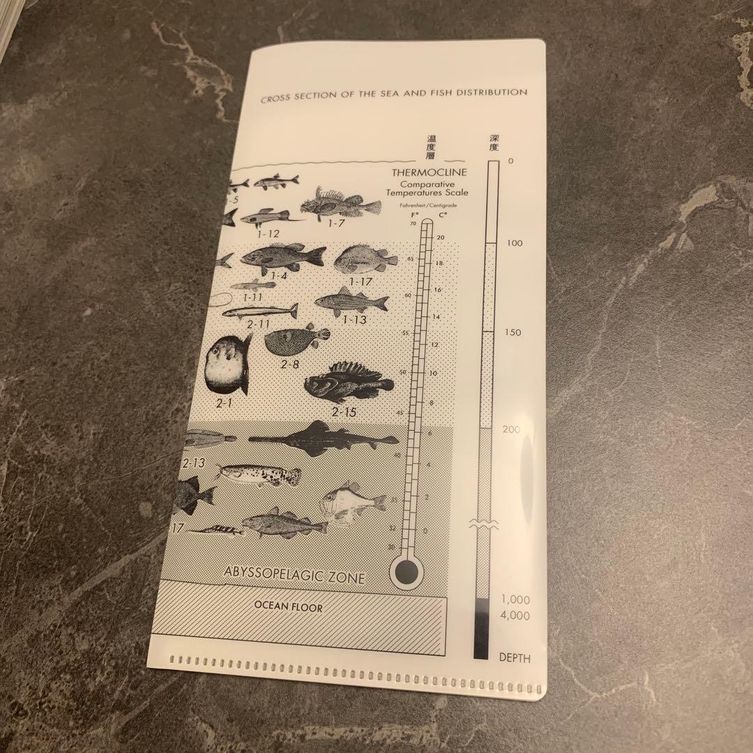 【美品】サカナクション 魚図鑑完全生産限定盤プレミアム BOX CD3枚組