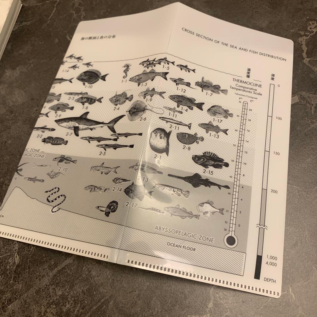 【美品】サカナクション 魚図鑑完全生産限定盤プレミアム BOX CD3枚組