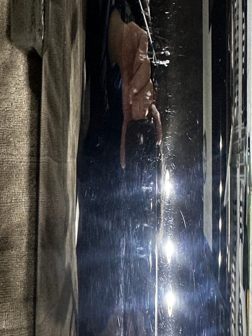 スポーツスター 北米マフラー パンチアウトなし 04-14 XL1200 883