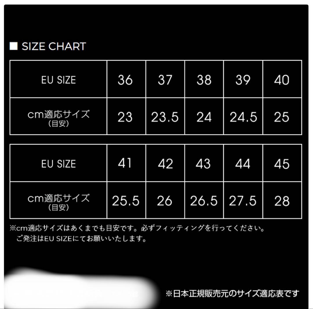 シューズ(男性用) ECCO BIOM C4 BOA