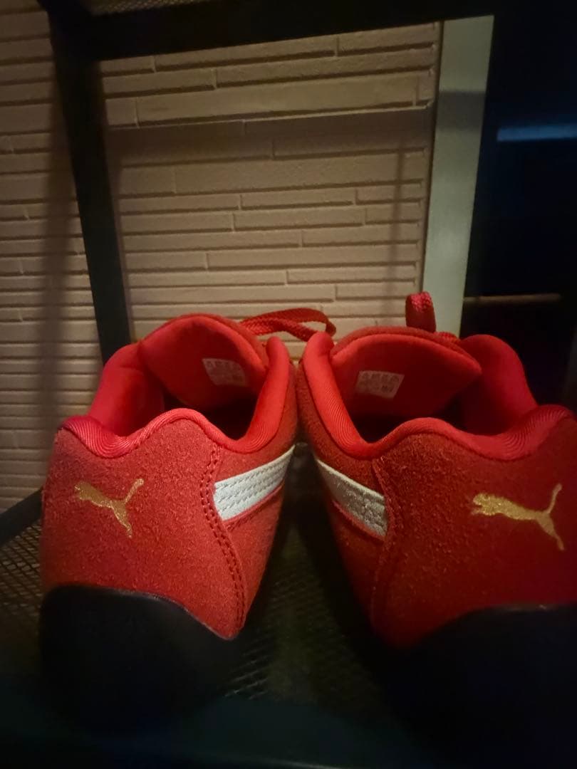 スピードキャット 24.5