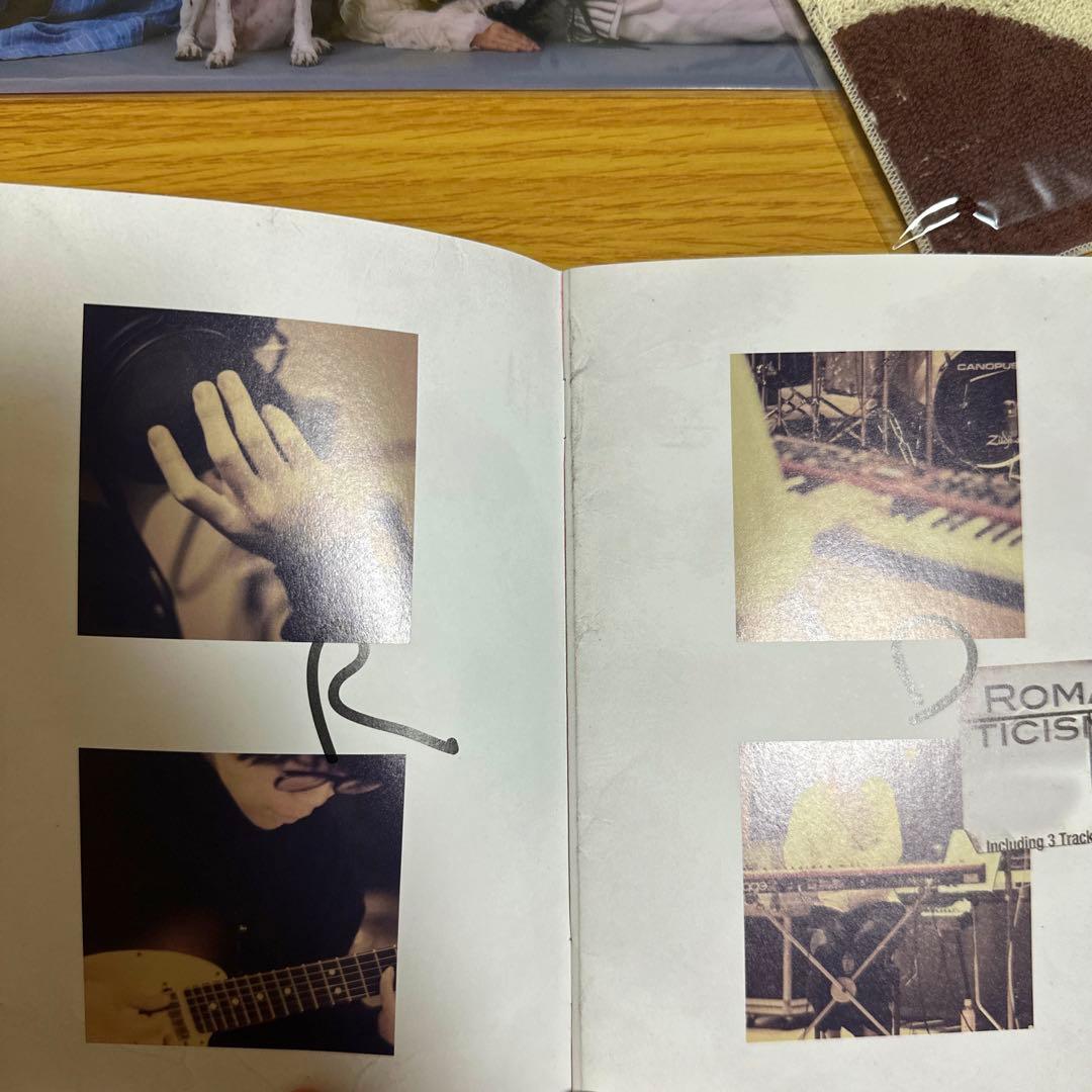 【5000枚完全生産限定】Mrs.GREEN APPLEロマンチシズム　ドッグ盤