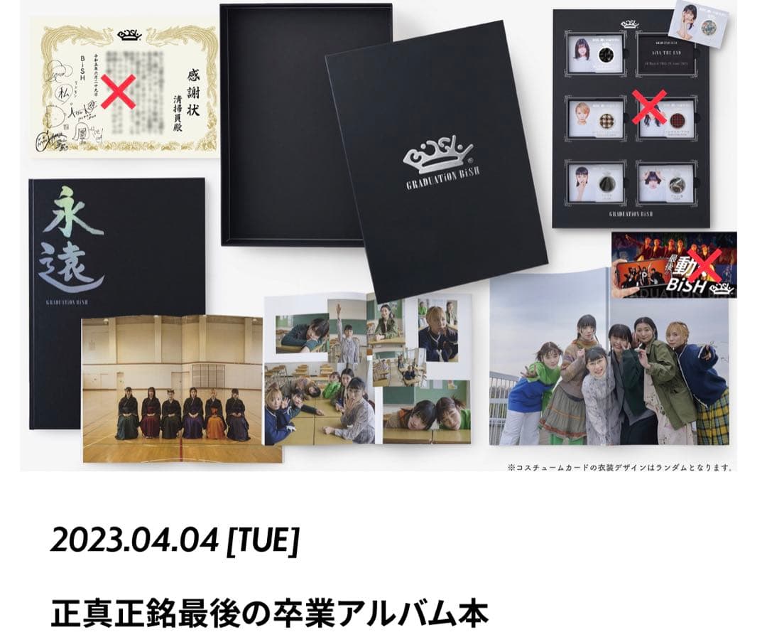 GRADUATION BiSH アートブック 2015-2016