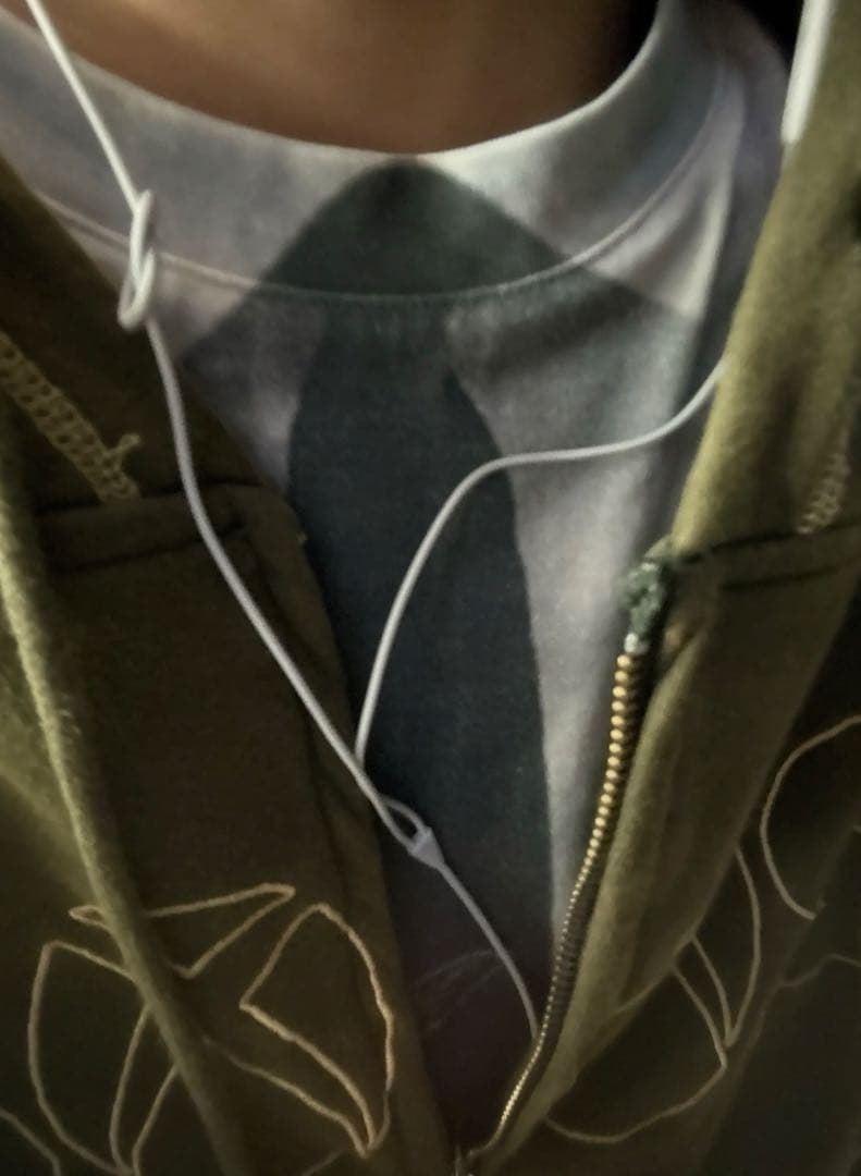 polar skate big boy supremeビーニーダウンかなた