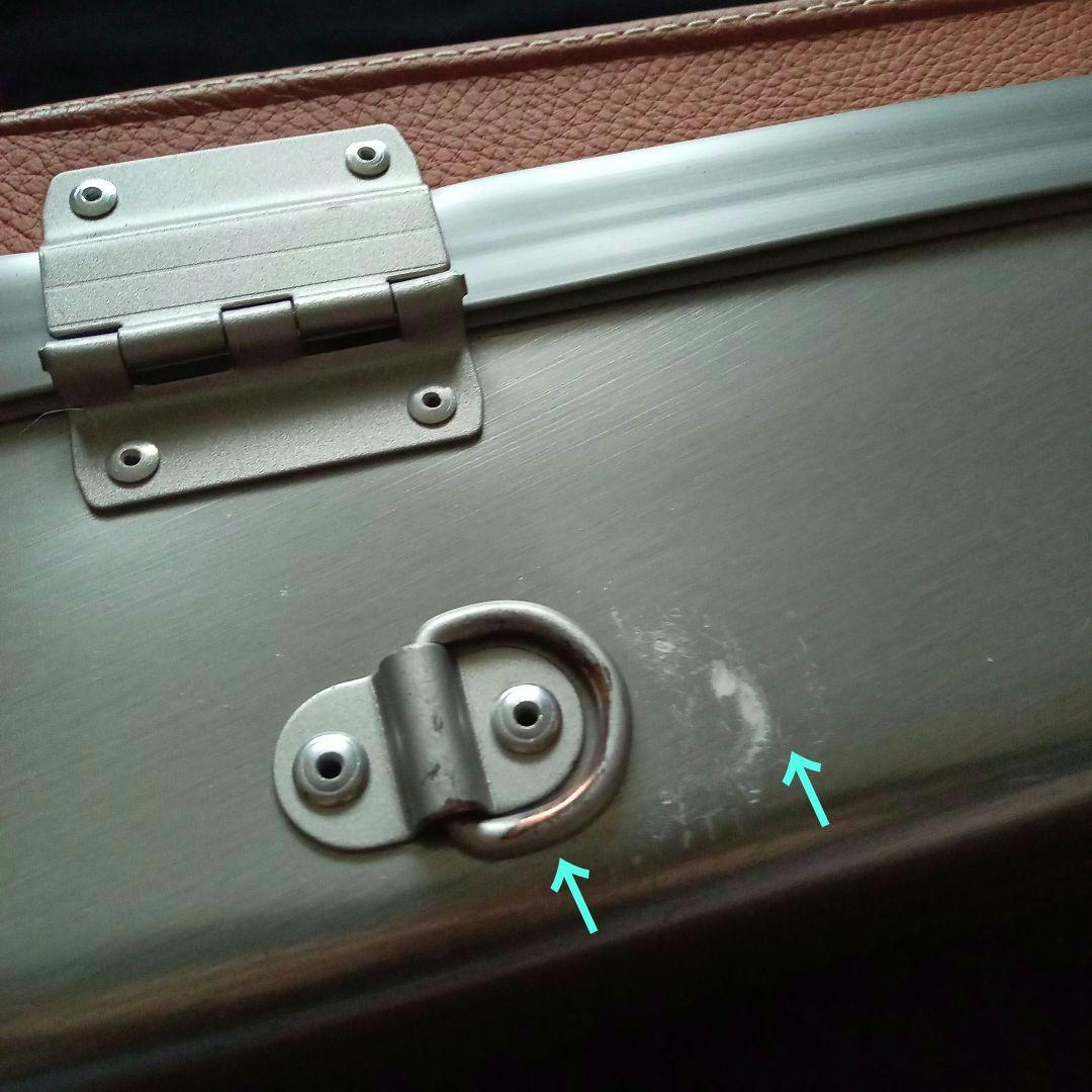 bam I'original Violin Case　FRANCE