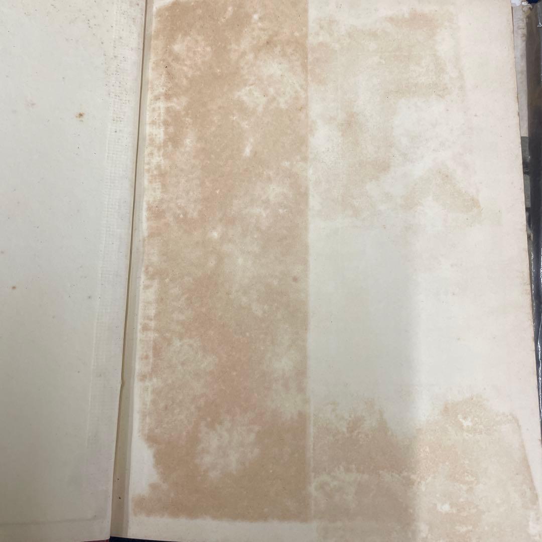 危険な毒花 常盤とよ子 1957年